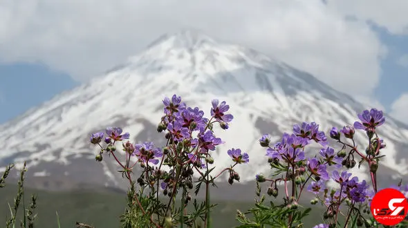 گزارش تصویری از پارک ملی لار تهران+ عکس