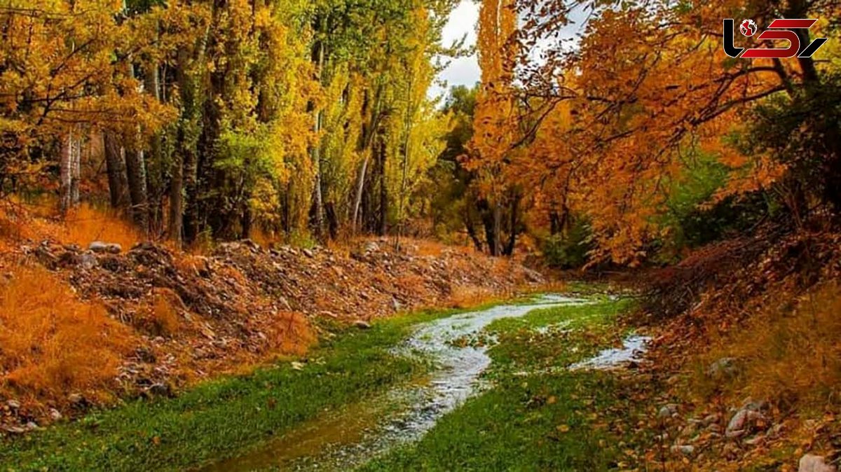 فال و طالع بینی امروز 5 مهر + فیلم 