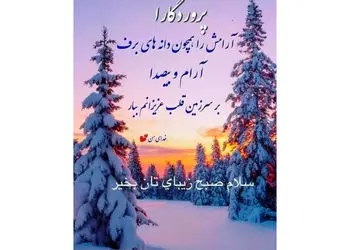 فال حافظ امروز 13 دی با تفسیر