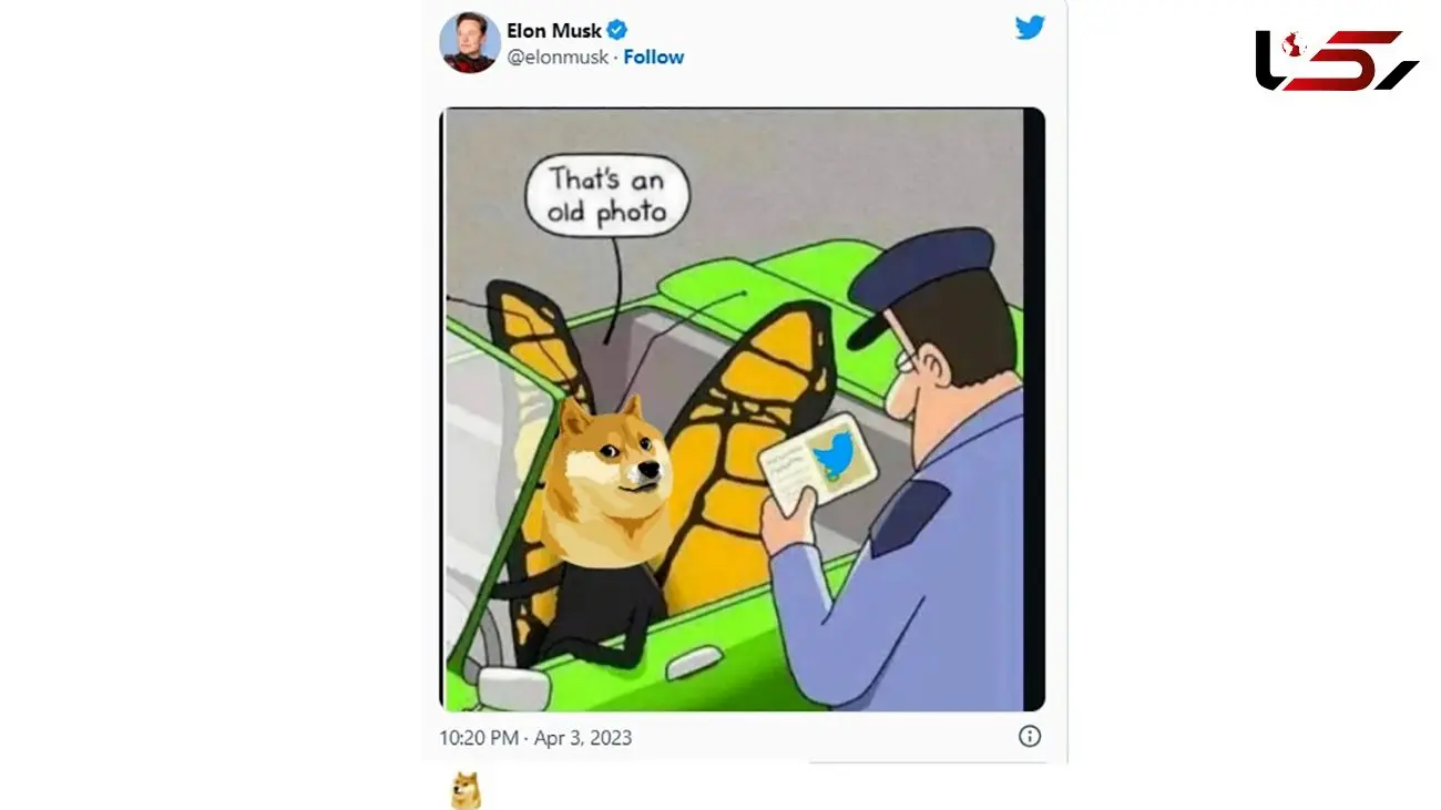 لوگوی توییتر تغییر کرد / دوج کوین افزایش یافت