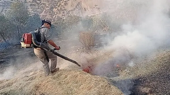  آتش به جان «شاهو و کوسالان» افتاد؛ ۳ هکتار از مراتع سروآباد خاکستر شد