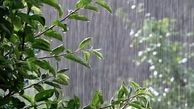 بارش ۵۷.۶ میلی‌متر باران در لرستان