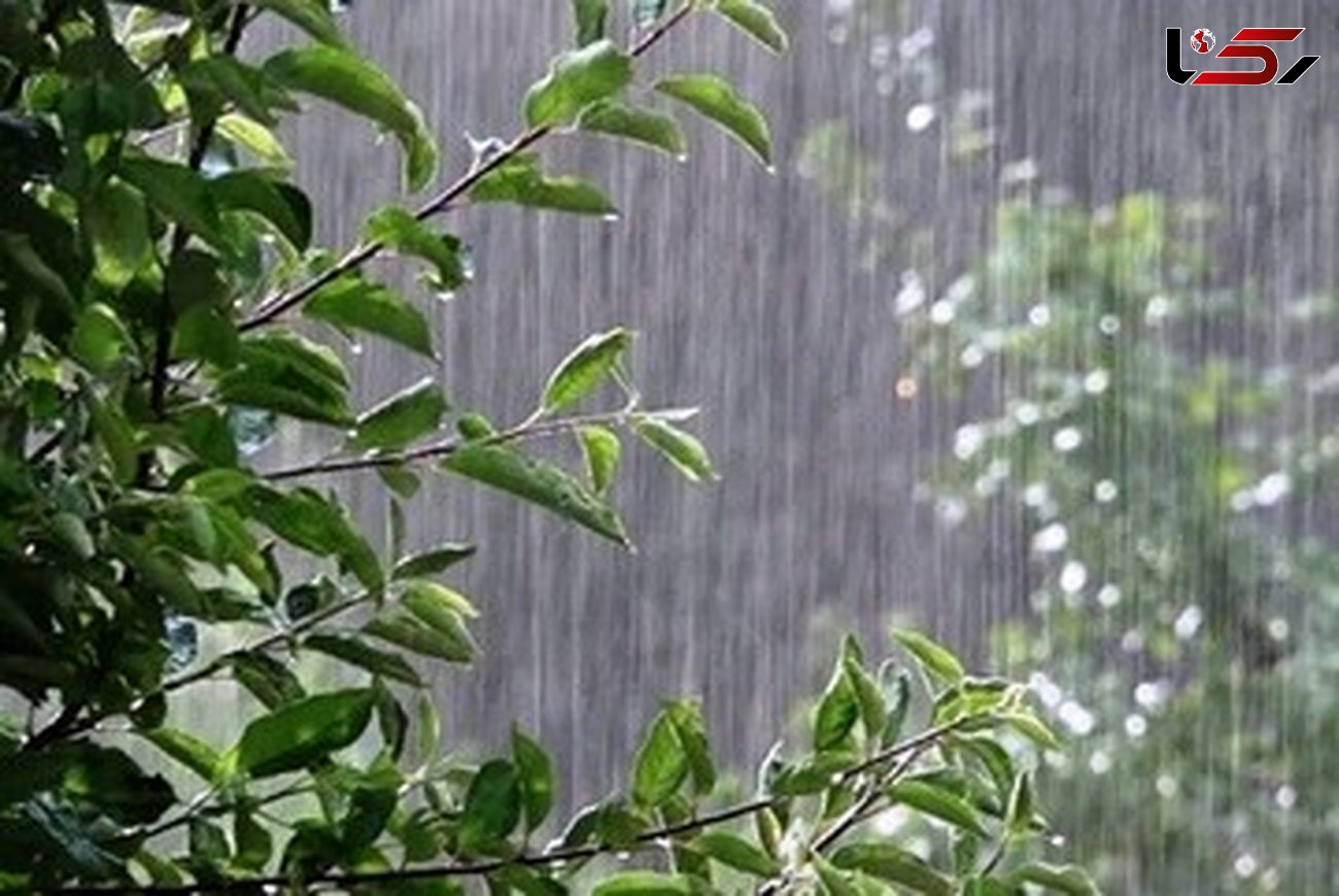 بارش ۵۷.۶ میلی‌متر باران در لرستان