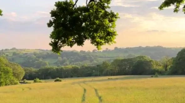 لحظاتی از جنس آرامش و به دور از هیایو