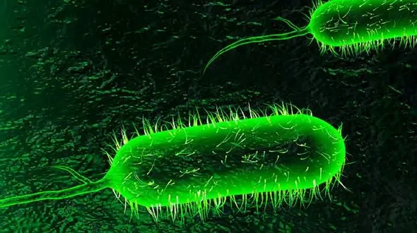 تعداد بیماران مشکوک به وبا در کردستان بازهم بیشتر شد 