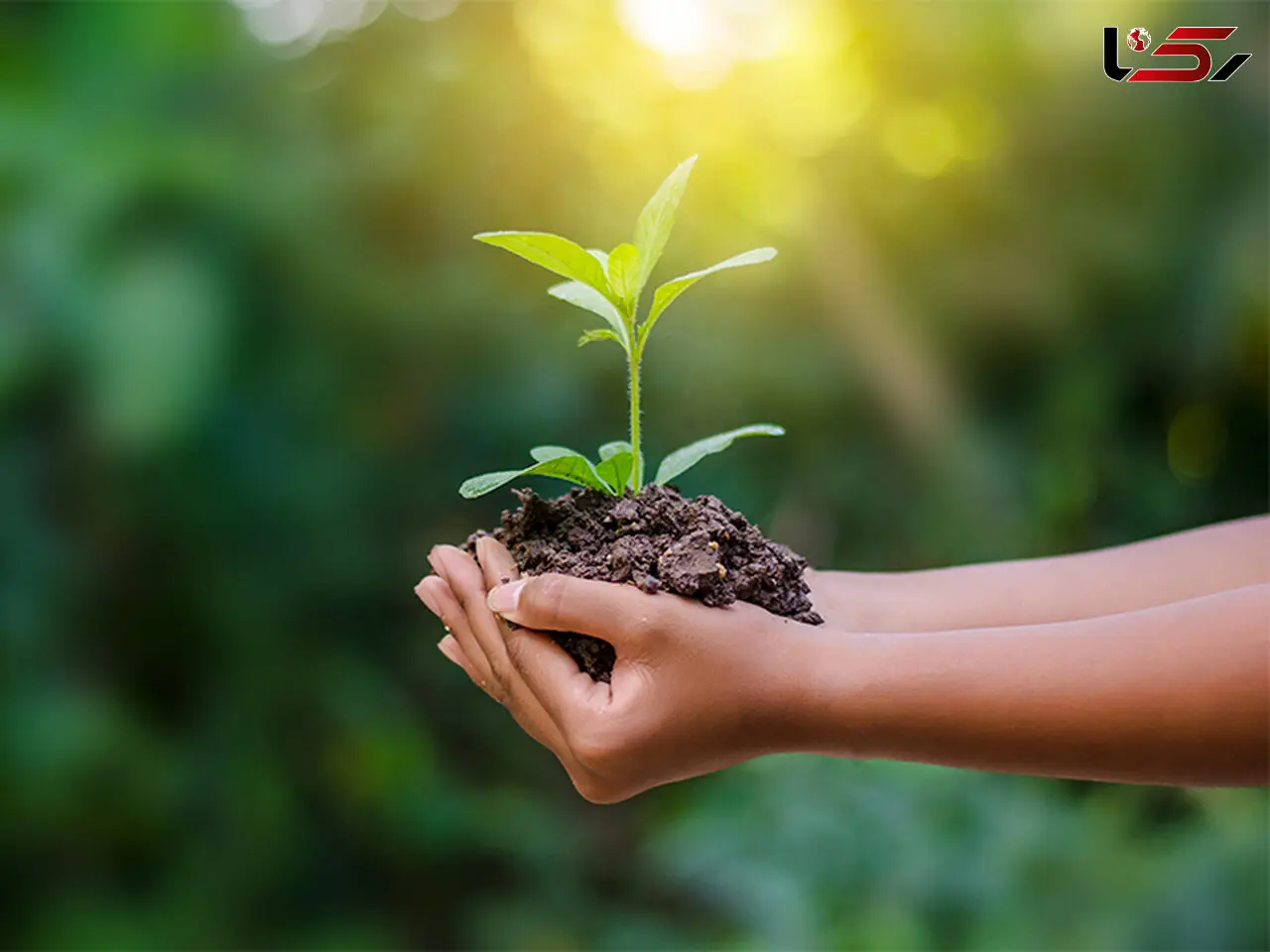 محیط زیست ایران را در 70 جلد کتاب به مدیران و محیط بانان  معرفی کردیم 