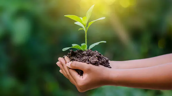 بهره گیری از فناوری‌های نوین برای بهبود مدیریت انرژی شهری/ نقش‌ شهرداری‌ها در مدیریت مصرف انرژی