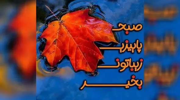 فال و طالع بینی امروز 29 مهر + فیلم 