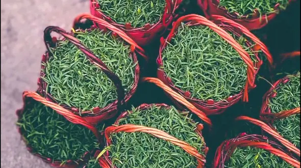 الهی‌ امسال برای همه پر از قشنگی باشد