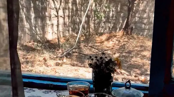 آرامشت را معامله نکن، بدون آن هیچ ثروتی وجود ندارد