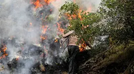  تمرکز دولت و مردم بر جنگل‌های الیت/ نبرد سخت با آتش در مناطق صعب‌العبور 