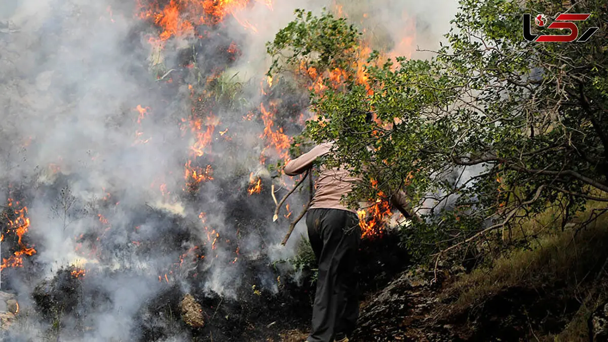 چندین بار آتش الیت را خاموش کردیم، باد دوباره شعله ور کرد/ آتش‌سوزی در جنگل و ارتفاعات رخ داده و مراتع تحت تأثیر قرار نگرفته‌اند + صوت