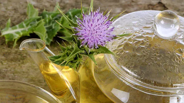 عرق خار مریم کمک کننده کاهش قند خون