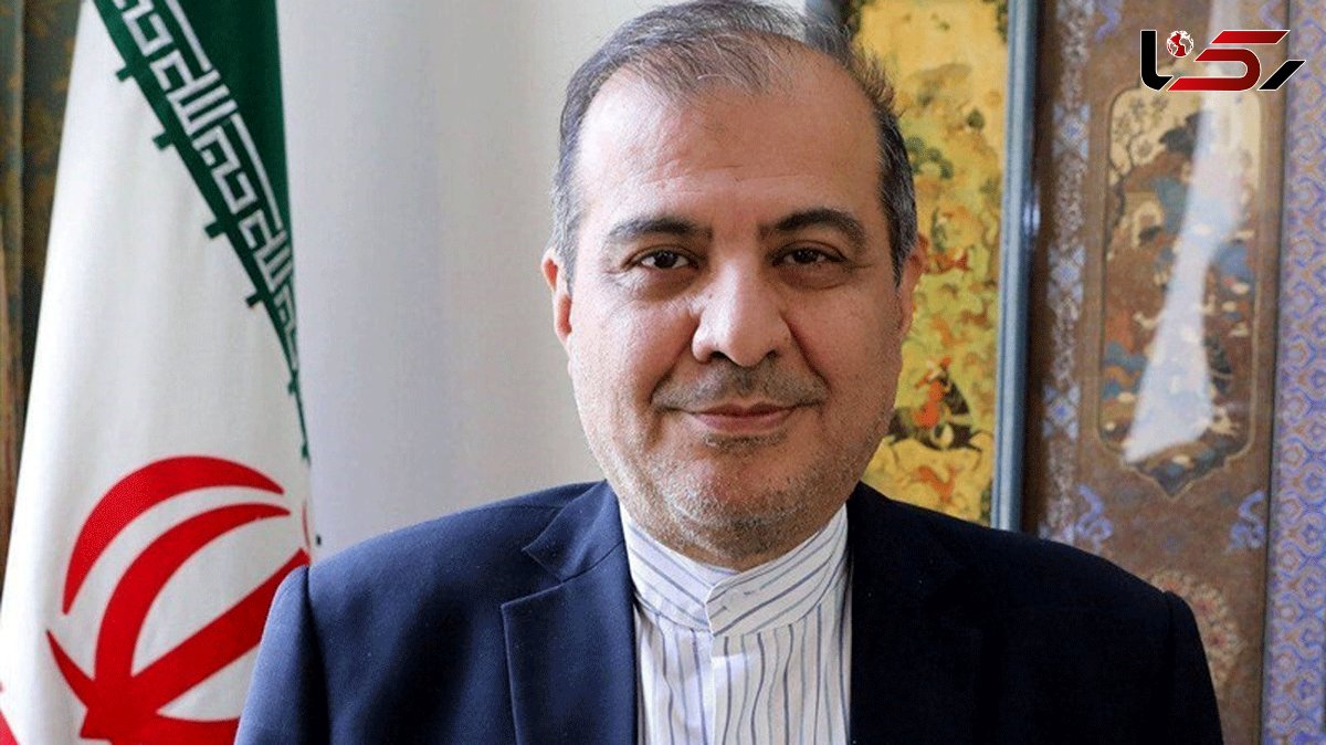  Iranian Official, Swedish Envoy Discuss Yemen Developments 