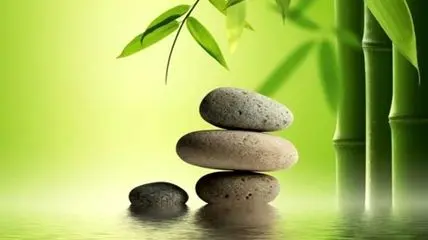 فنگ شویی چیست و چگونه آرامش را به خانه شما می آورد؟