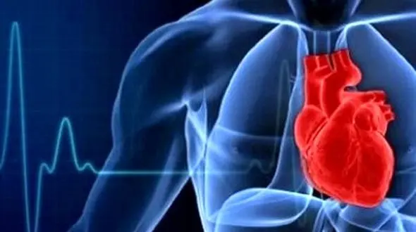 بیلی روبین چه نقشی در سلامت قلب دارد؟