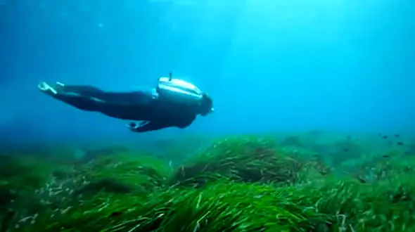 مختص ماجراجویان؛ تجربه‌ جالب از شنای دلفینی با جت‌ پک زیرآبی + فیلم