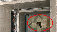 عکس 16+ / جسد دزد جوانی که از طبقه دوم دادسرا خود را پایین انداخت