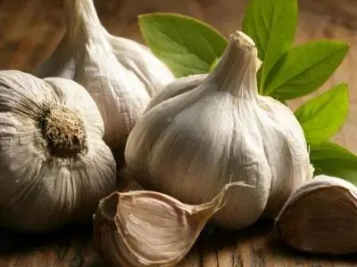 روش مرگبار نگهداری سیر که باید همین حالا از آن اجتناب کنید!