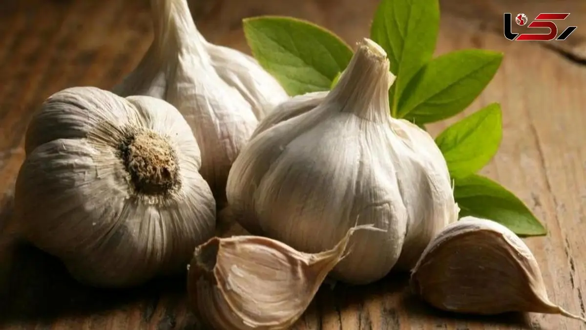 روش مرگبار نگهداری سیر که باید همین حالا از آن اجتناب کنید!