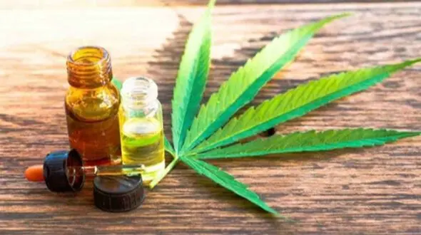 گل و تاثیرات خطرناک روانی: علائمی شبیه روان پریشی و جنون