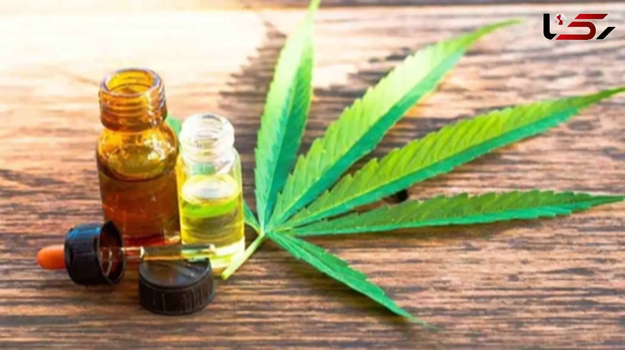 گل و تاثیرات خطرناک روانی: علائمی شبیه روان پریشی و جنون