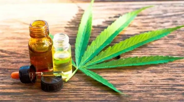 گل و تاثیرات خطرناک روانی: علائمی شبیه روان پریشی و جنون