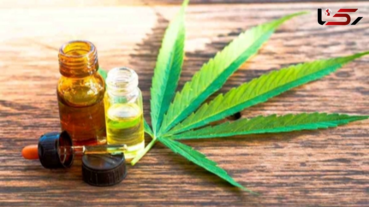 گل و تاثیرات خطرناک روانی: علائمی شبیه روان پریشی و جنون