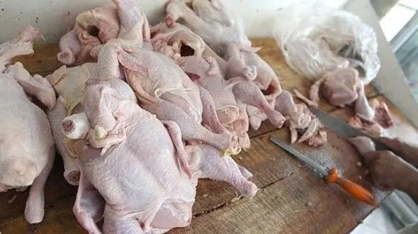 قیمت آلایش مرغ در میادین میوه و تره بار