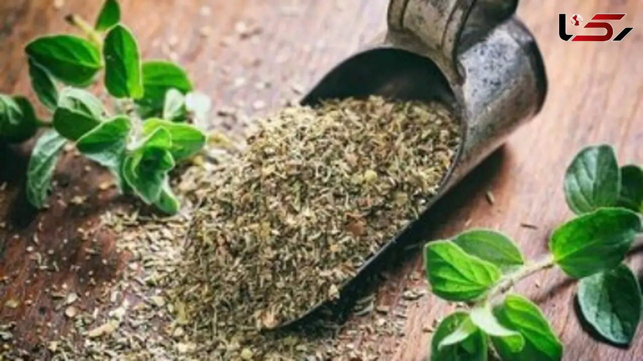 کنترل فشار خون با یک داروی گیاهی خوشبو و موثر!