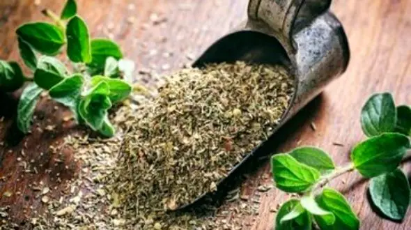 کنترل فشار خون با یک داروی گیاهی خوشبو و موثر!