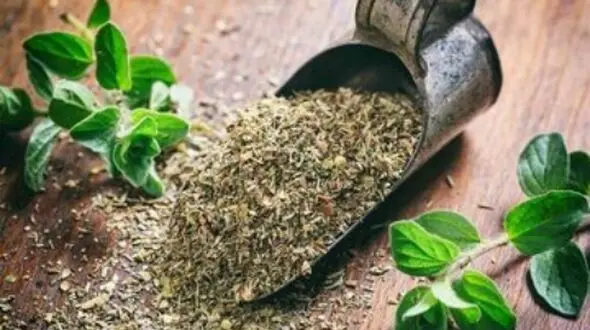 کنترل فشار خون با یک داروی گیاهی خوشبو و موثر!