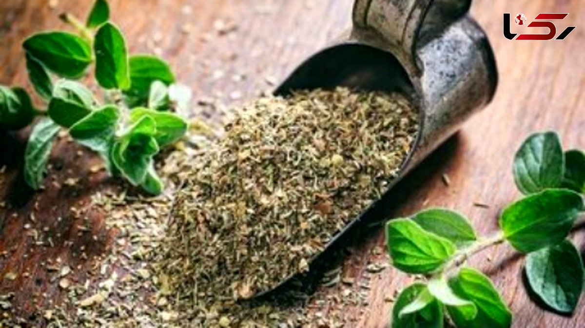کنترل فشار خون با یک داروی گیاهی خوشبو و موثر!