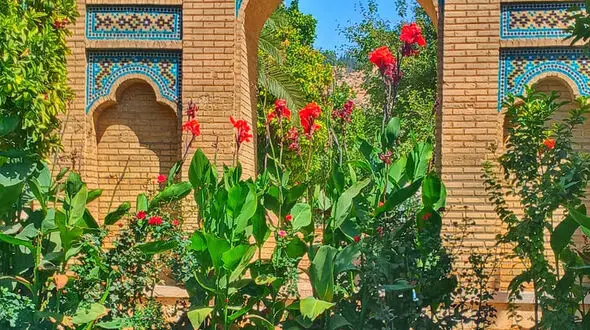 فال حافظ امروز / 24 بهمن ماه با تفسیر دقیق + فیلم