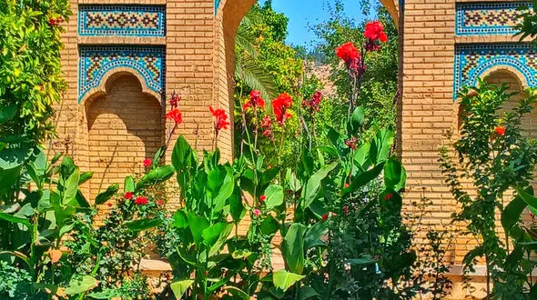 فال حافظ امروز / 12 بهمن ماه با تفسیر دقیق + فیلم