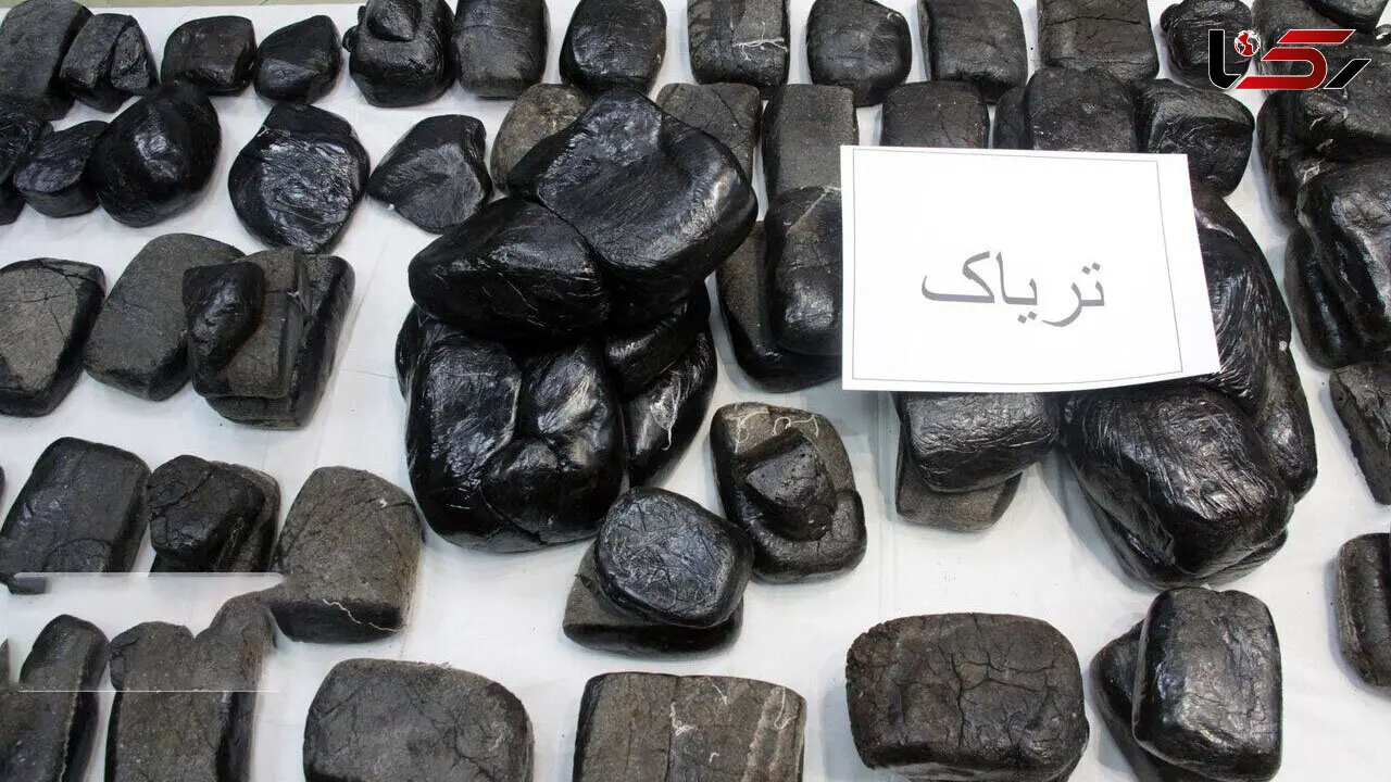 کشف محموله قاچاق در بوشهر