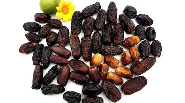 46 خرمای ایران را بشناسید / خواص معجزه آسای 26 خرمای ایرانی + عکس