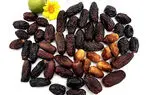 46 خرمای ایران را بشناسید / خواص معجزه آسای 26 خرمای ایرانی + عکس