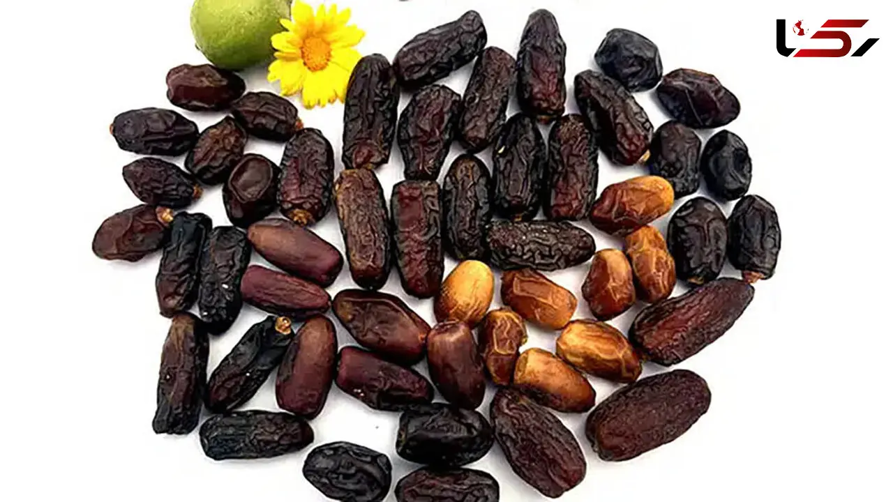 46 خرمای ایران را بشناسید / خواص معجزه آسای 26 خرمای ایرانی + عکس