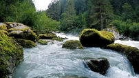 ببینید / نماهنگ بی کلام 