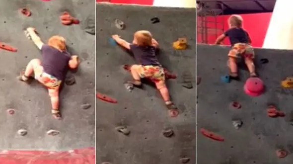 کوچکترین صخره‌نورد دنیا با یک سال و نیم سن! +عکس و فیلم