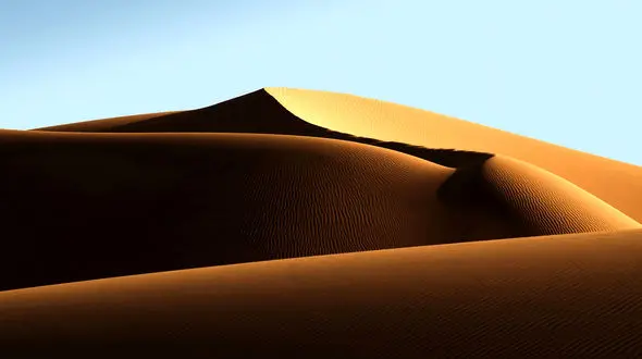 جهت یابی در کویر به چه شکل انجام می شود؟ + فیلم 