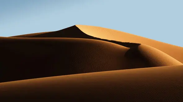 جهت یابی در کویر به چه شکل انجام می شود؟ + فیلم 
