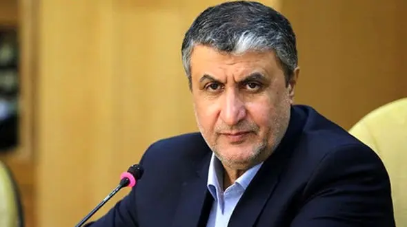 ایران برنامه هسته ای پنهانی ندارد/ ترس استکبار از قدرت کشور
