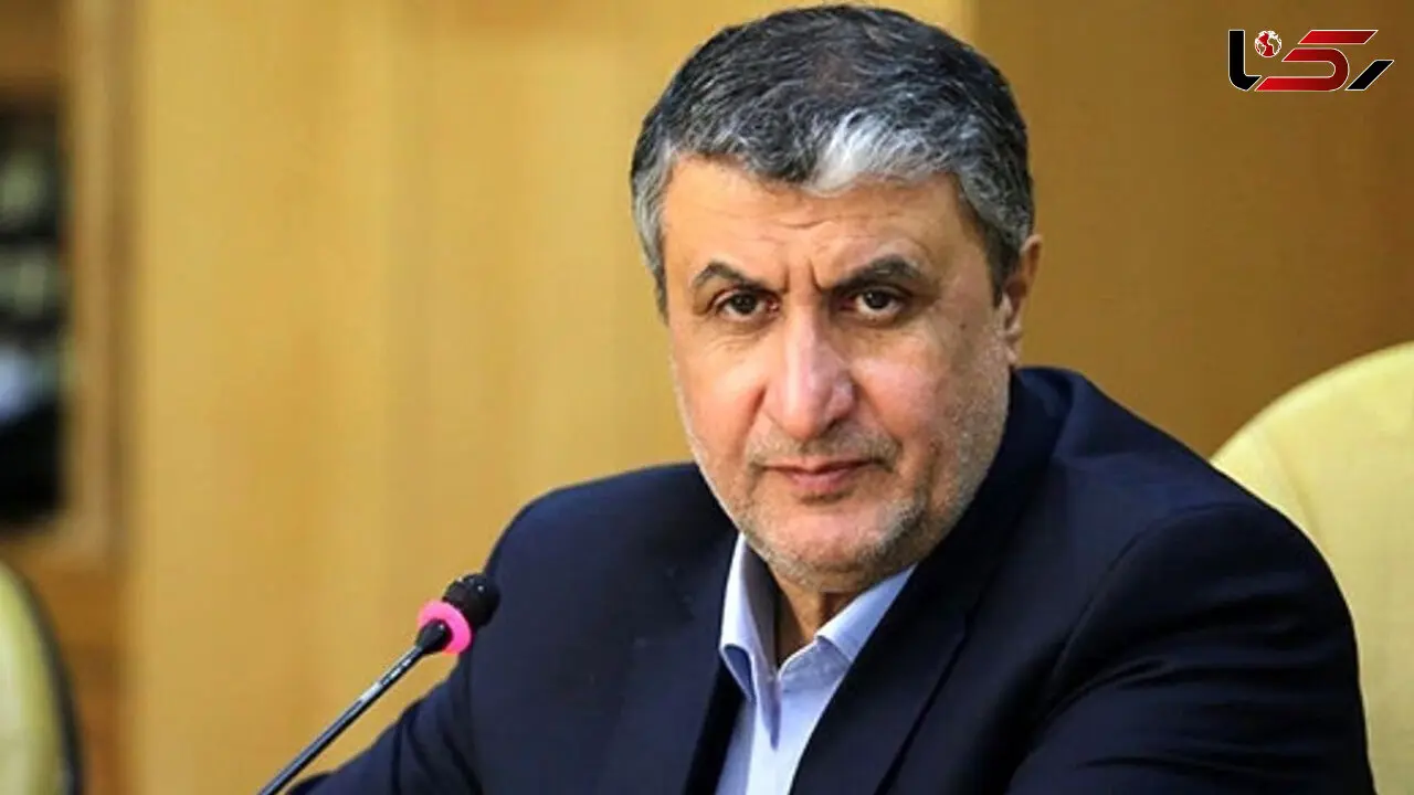 ایران برنامه هسته ای پنهانی ندارد/ ترس استکبار از قدرت کشور
