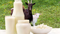 13 خاصیت فوق العاده شیر بز 