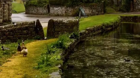 به خودتان افتخار کنید