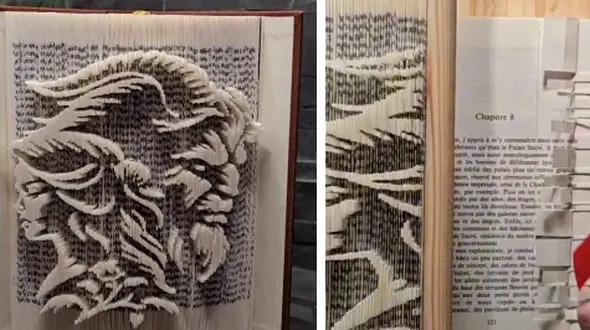 خلاقیت میخکوب‌کننده هنرمندی که از کتاب‌ها آثار هنری خلق می‌کنند/ هنرمندانی که روح هر کتاب را به تصویر میکشند/ بینظیر به معنای کامل کلمه