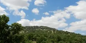 ثروت سبز ایران در دست چند استان / شکاف ۴۶۲ برابری جنگل در ایران؛ فارس غرق در سبزی، همدان در قعر جدول + آمار پوشش جنگلی