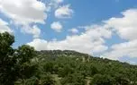 ثروت سبز ایران در دست چند استان / شکاف ۴۶۲ برابری جنگل در ایران؛ فارس غرق در سبزی، همدان در قعر جدول + آمار پوشش جنگلی